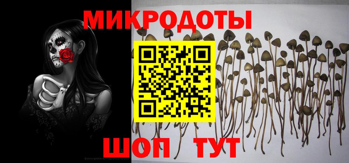 Псилоцибиновые грибы Psilocybe  Вход с VPN  Ульяновск 