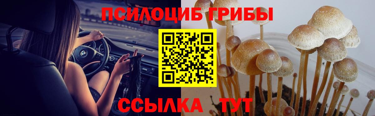 Галлюциногенные грибы мицелий Ульяновск